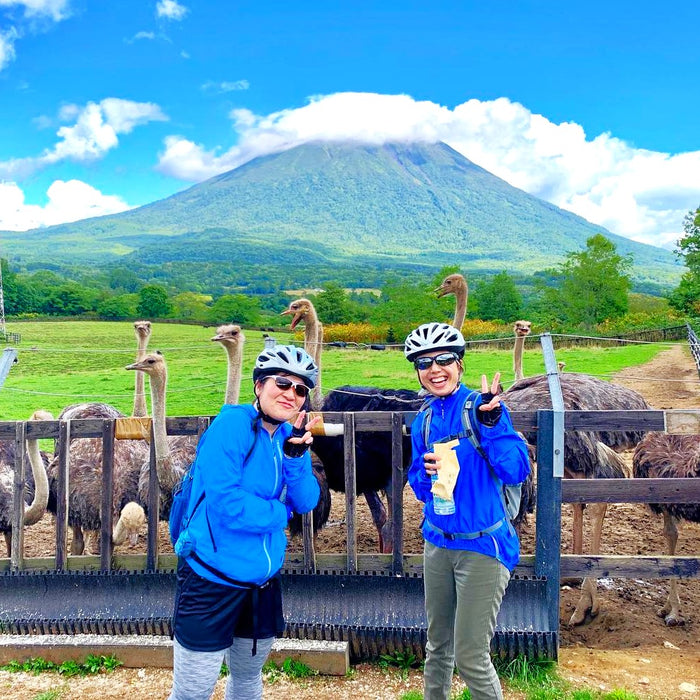 니세코의 위대함을 만끽하는 사이클 투어 30-100km / Niseko