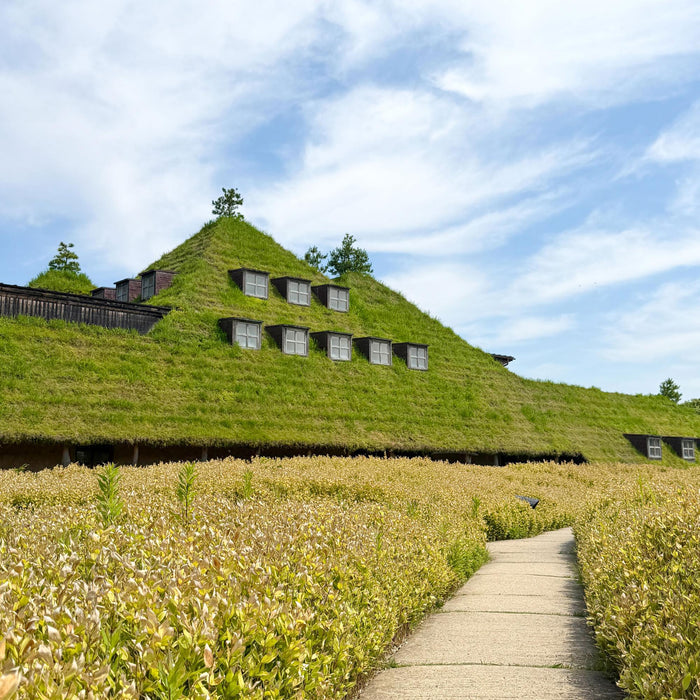 旅游 / 海胆美食和花园 5 天 / 稚内和富良野