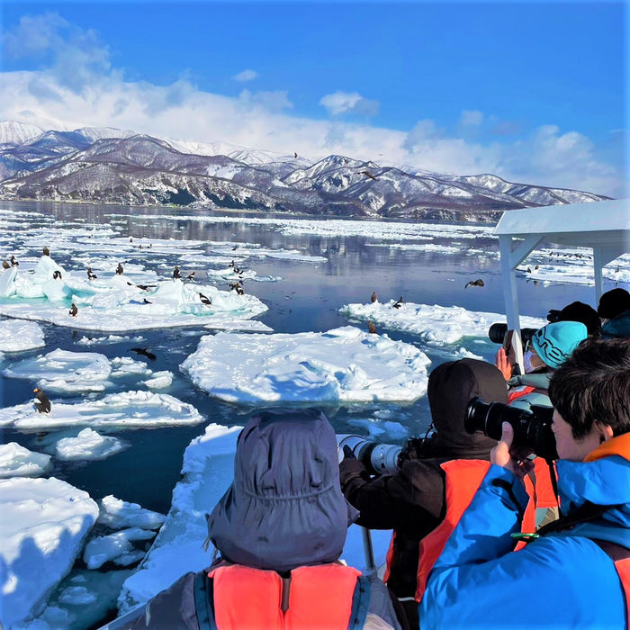 Drift ice & bird watching cruise (Winter) / Shiretoko
