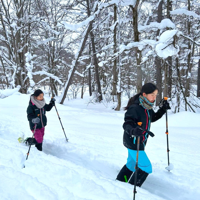 Snowshoe trekking in snow forest / Sapporo