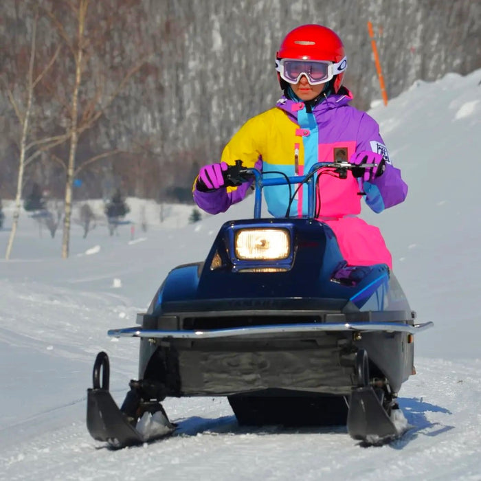 Snowmobile tour with local guides / Furano