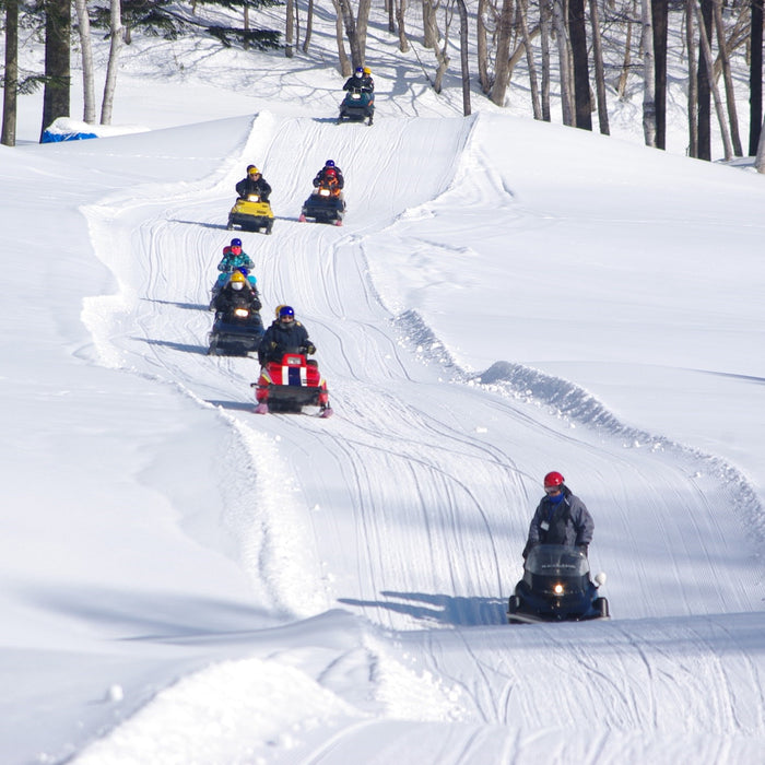 Snowmobile tour with local guides / Furano