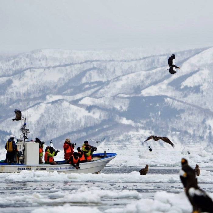 Privage chartered cruise for bear watching cruise / Rausu