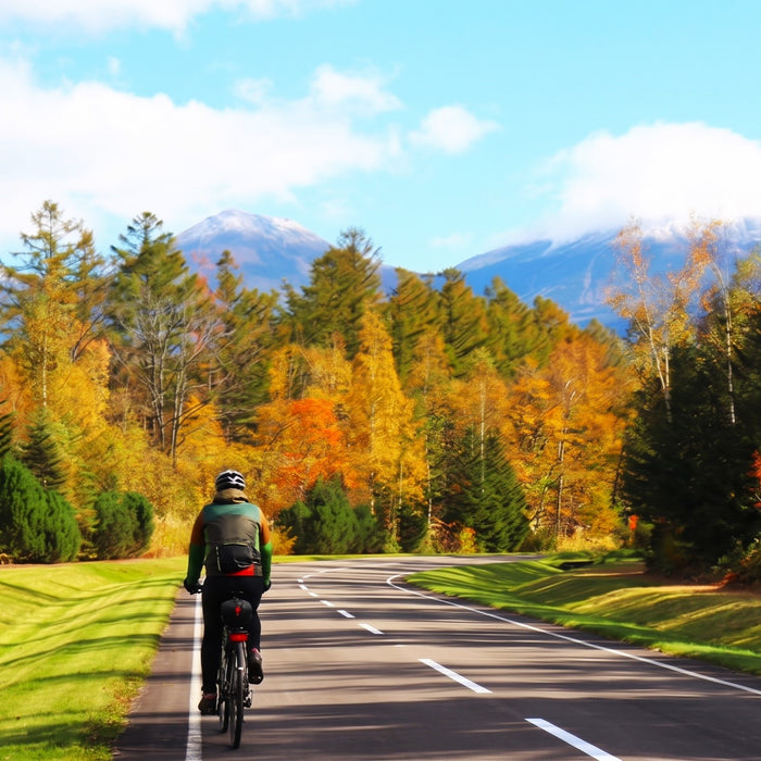 Guided e-bike tour (Blue Pond) / Biei