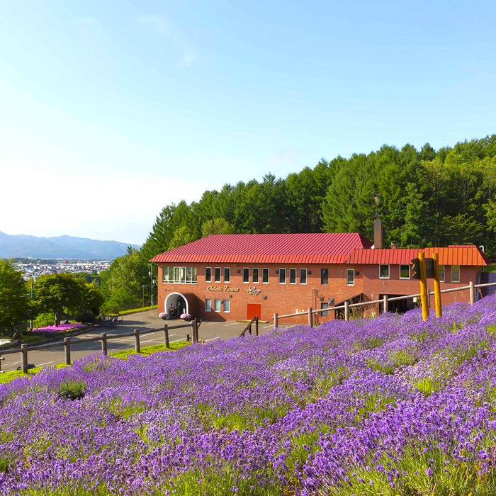 Guided e-bike tour / Furano