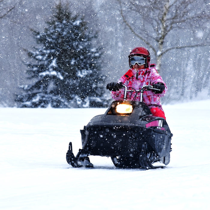 Snowmobile tour with local guides / Furano