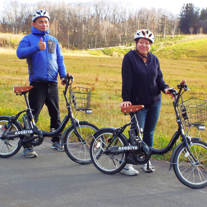 Guided e-bike tour / Furano & Biei