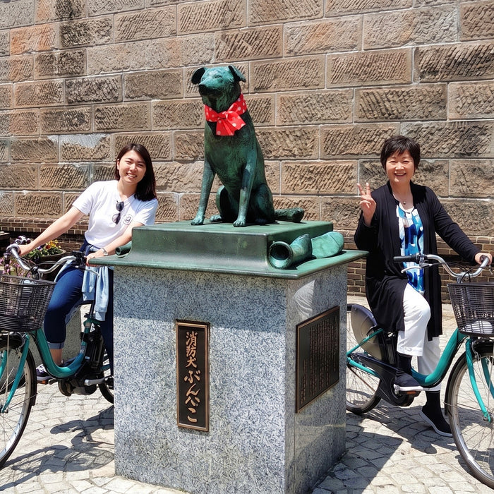 Rental of e-bike / Otaru