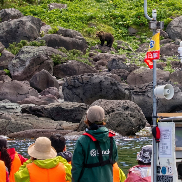 Privage chartered cruise for bear watching cruise / Rausu