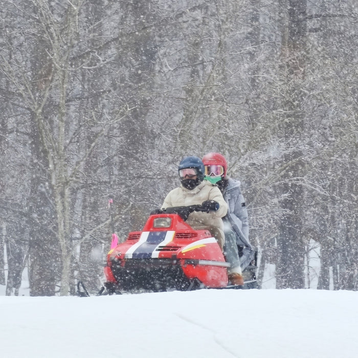 Snowmobile tour with local guides / Furano