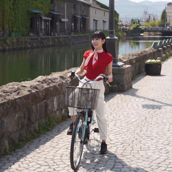 Rental of e-bike / Otaru