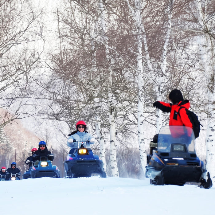 Snowmobile tour with local guides / Furano