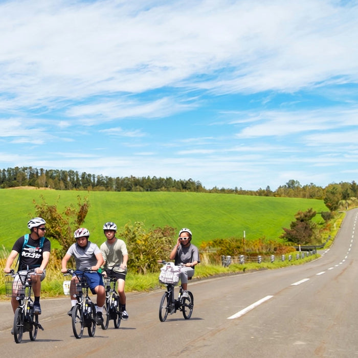 Guided e-bike tour (Shikisai-no-oka) / Biei