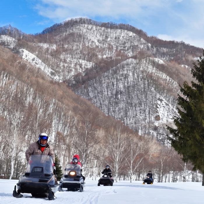 Snowmobile tour with local guides / Furano
