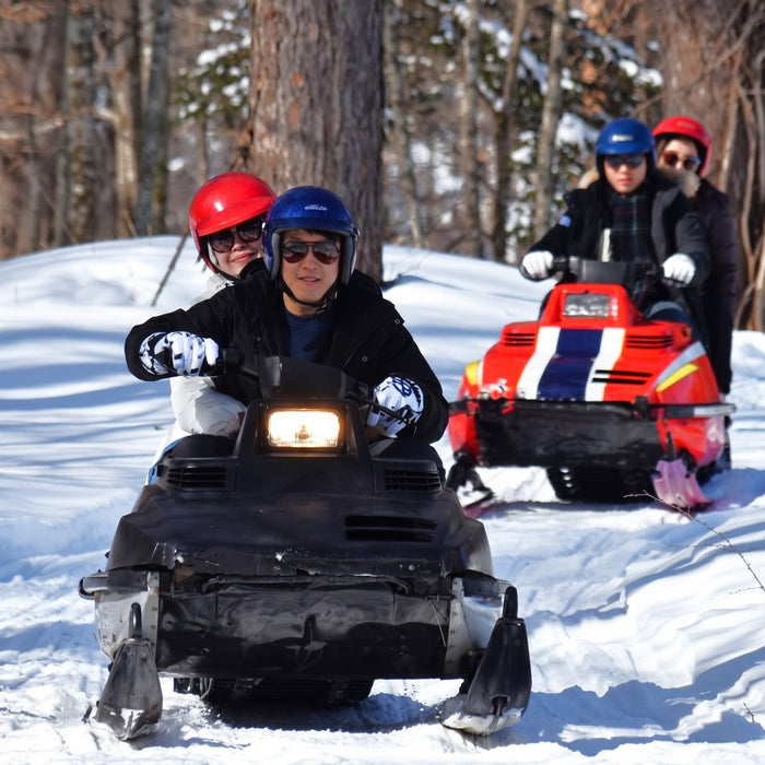 Snowmobile tour with local guides / Furano