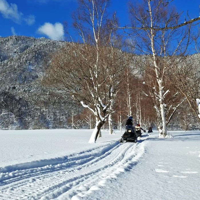 Snowmobile tour with local guides / Furano