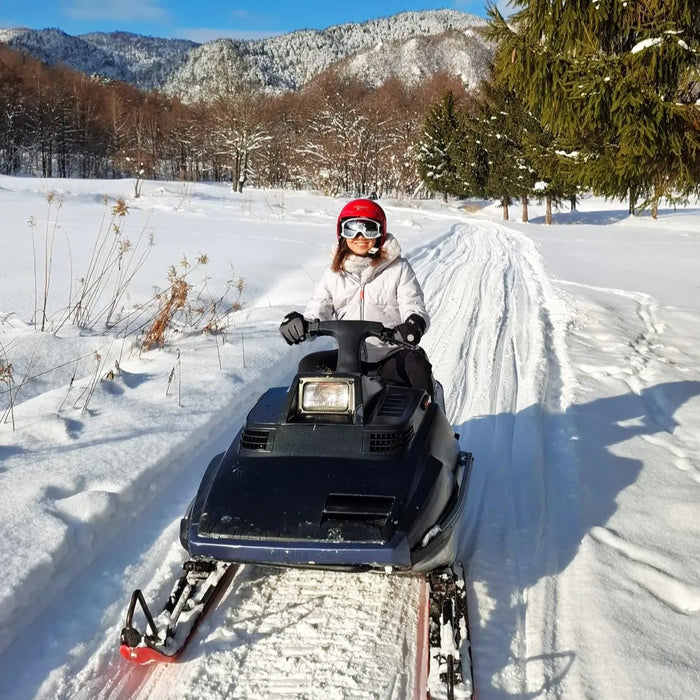 Snowmobile tour with local guides / Furano