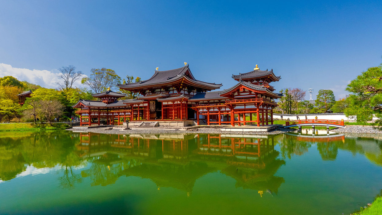 旅游 / 海胆美食和花园 5 天 / 稚内和富良野