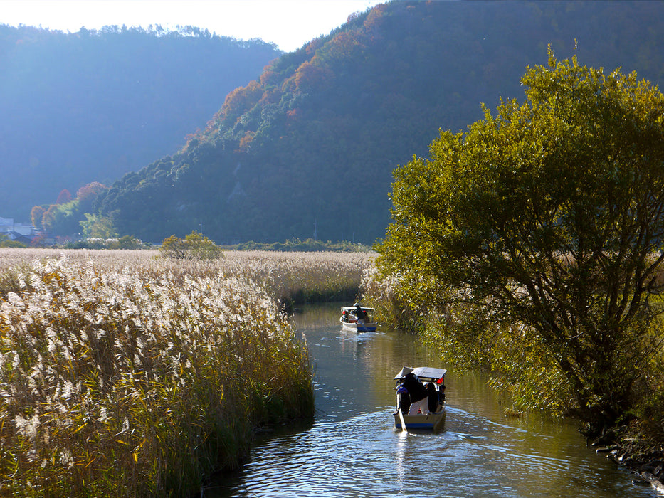 旅游 / 海胆美食和花园 5 天 / 稚内和富良野
