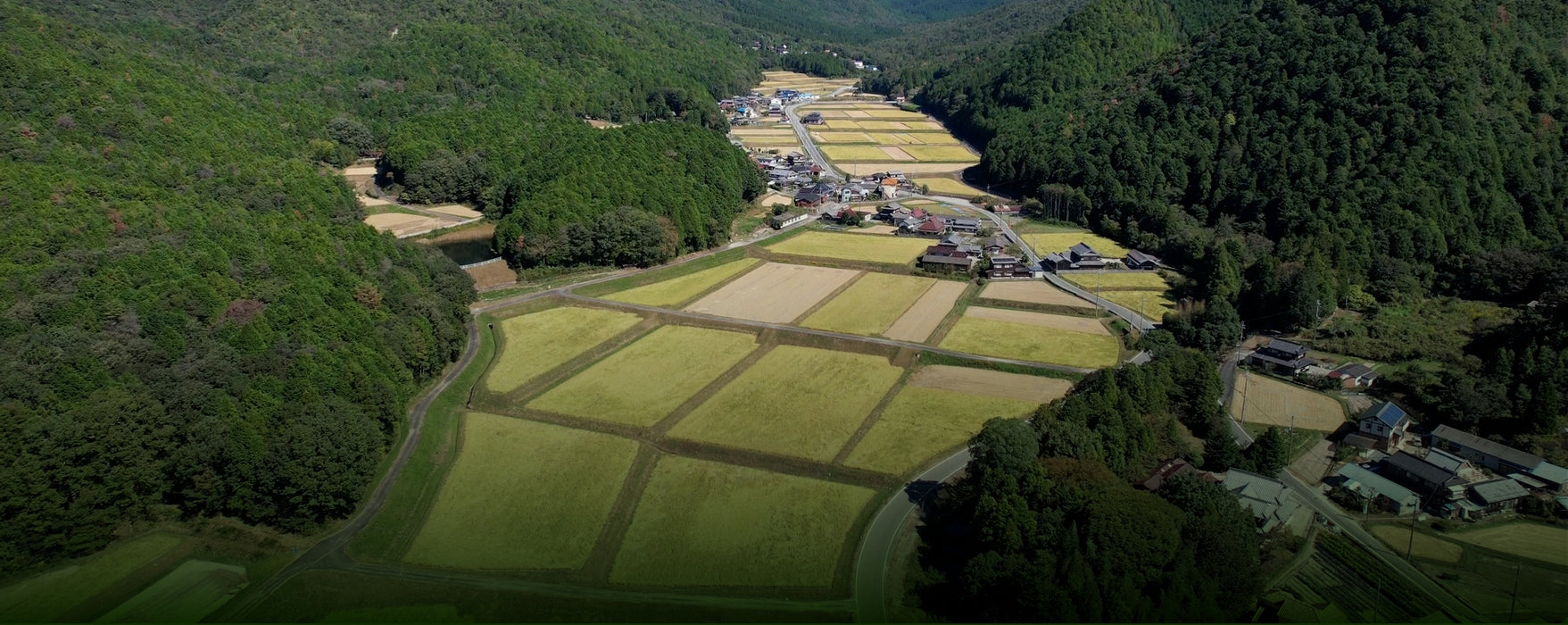 旅游 / 海胆美食和花园 5 天 / 稚内和富良野