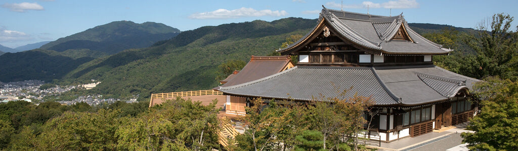 旅游 / 海胆美食和花园 5 天 / 稚内和富良野