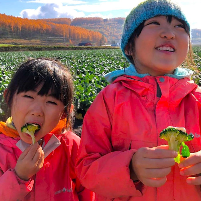 Vegetables Picking & Outdoor Pizza Cooking / Furano
