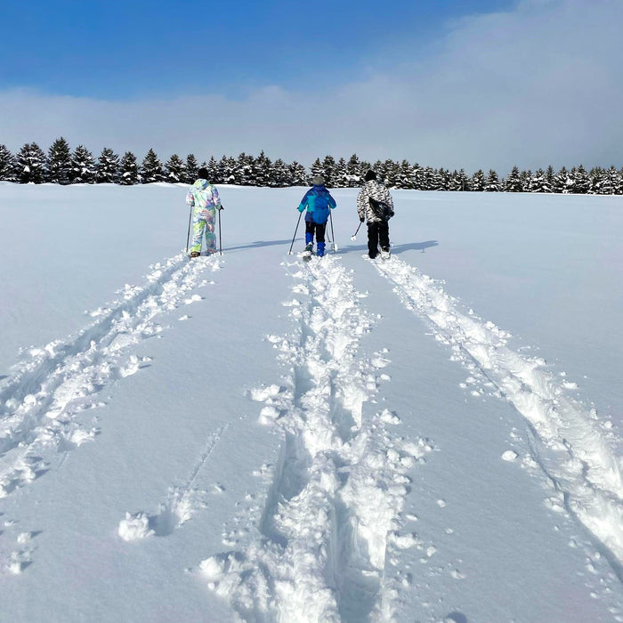 Snowshoe Trekking in Moere-numa Park / Sapporo