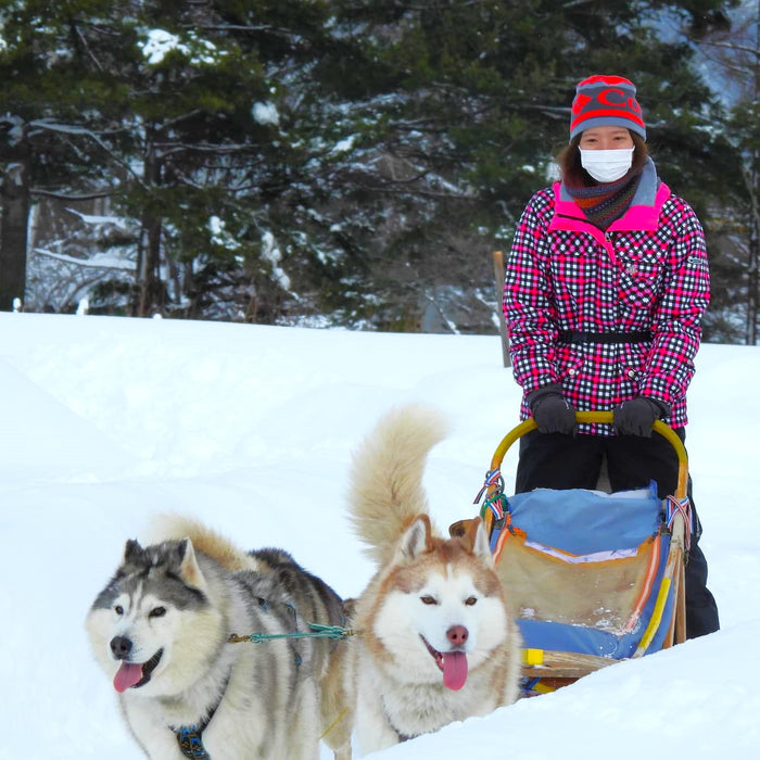 狗拉雪橇、胖胎自行车和雪鞋徒步，午餐 + 温泉 / 札幌