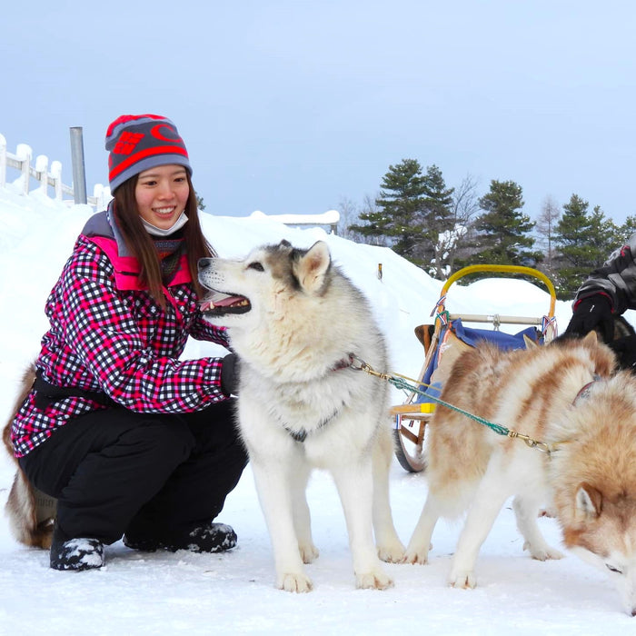 Dog sledding, Fat bike & snowshoe trekking with lunch + hot spring / Sapporo