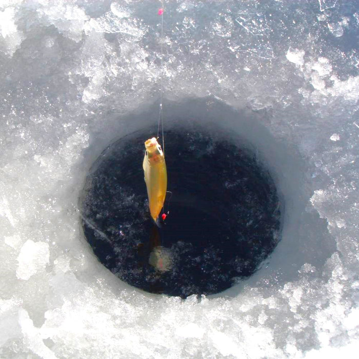 Ice Fishing / Sapporo