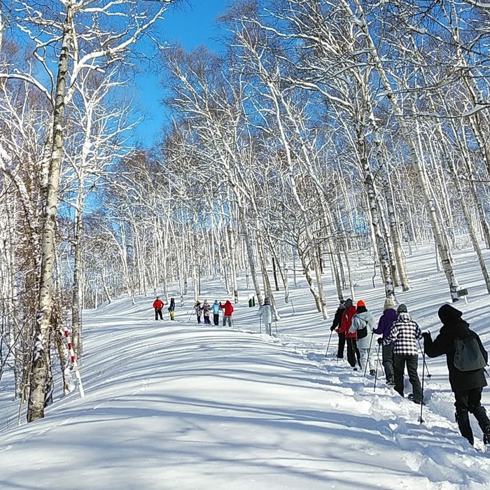 Snowshoe trekking at Teine ski area / Sapporo